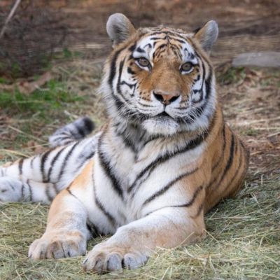 Columbus Zoo and Aquarium Img