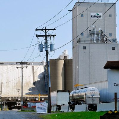 Cargill to lay off thousands of workers amid falling commodity prices