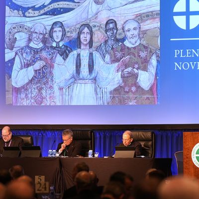 US Catholic bishops vote to officially prohibit gender transition treatment at Catholic hospitals