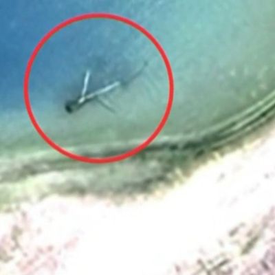 Expedition to find Amelia Earhart’s missing plane comes up empty