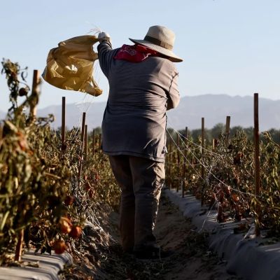 My friend nearly died of dehydration. Farmworkers like us need better protections.