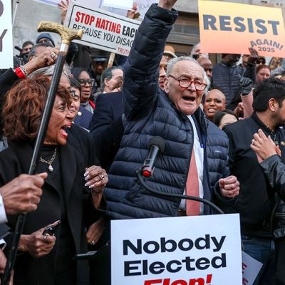 NY Times video mocks Democrats’ ‘resistance’ to Trump while warning it didn’t work before