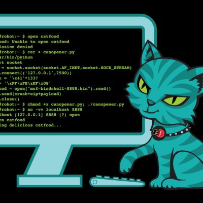 Hackers vs ICE: Resistance and Digital Defenses – News Directory 3