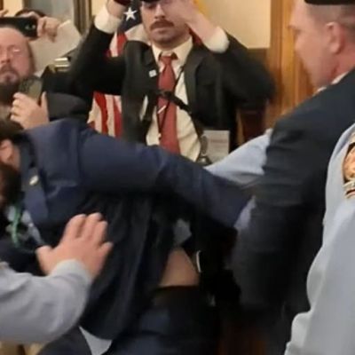 State senator appears to be pushed to the ground, is arrested while trying to enter Georgia House chamber