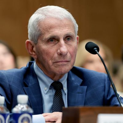 Congress Interrogates Fauci Over Origins Of Pie Brought To Cookout