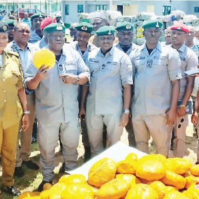 Customs seize N1.9bn hard drugs, expired flour at Seme border