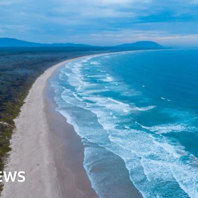Australia shark attack: Woman killed and man injured in New South Wales
