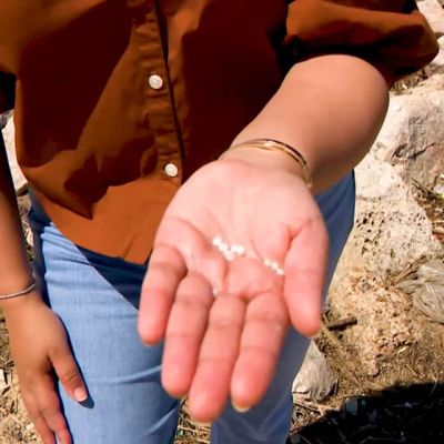 Microplastics — billions of pellets of pure plastic — are washing up on Gulf Coast shores