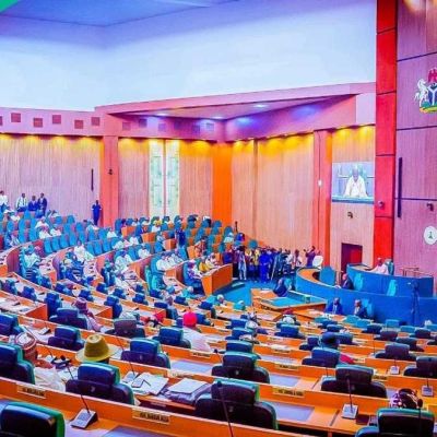 House of Reps holds special plenary over rising insecurity