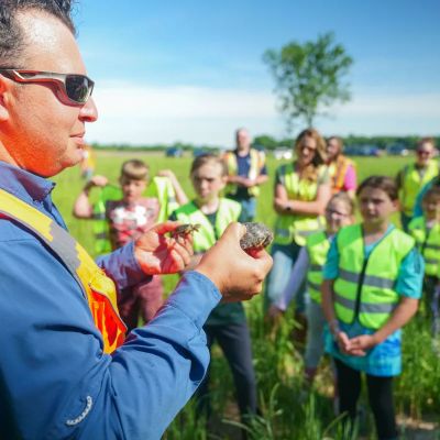 Young turtles rescued from path of pipeline project returned to the wild