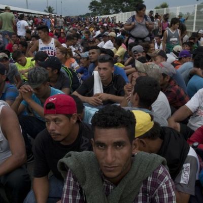 Trump’s Border Triumph: Crossings Plunge to 1970s Low … The Securest Wall in U.S. History