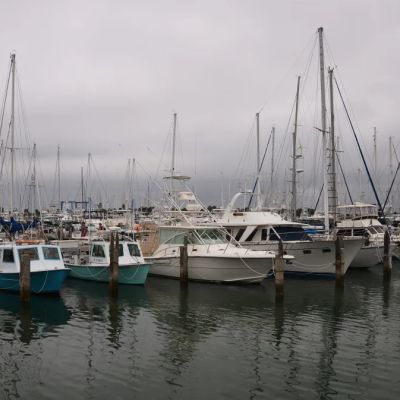 Port Canaveral has plan to shift marinas to make way for new cruise terminal