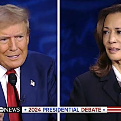 Why is this election even close? * WorldNetDaily * by Mike Pottage