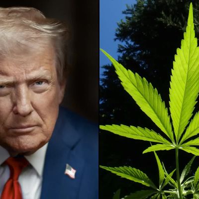 Marijuana Rescheduling Could Be Impacted If Trump Replaces Bondi As Attorney General With Zeldin – Marijuana Moment