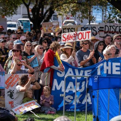 Crowds fill Hobart’s Parliament House lawns to rally against salmon industry