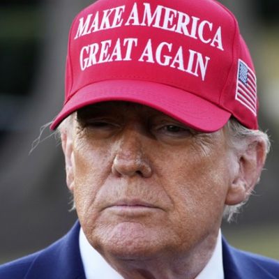 Vox Article Reveals Just How Popular Donald Trump Was in 2024