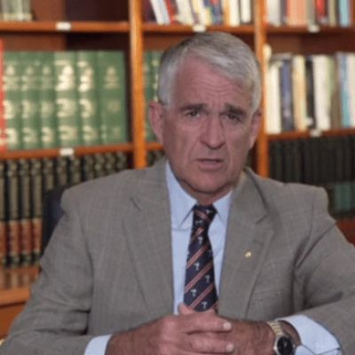 ‘Simply not true’: Former deputy prime minister rubbishes Liberal Senators defence of net zero