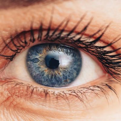 ‘My life is on hold waiting for a cornea transplant’