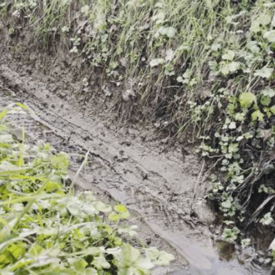 Butte County launches erosion control project after devastating fire