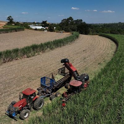 Brazil’s dual-fuel ethanol fleet stabilizes gasoline prices despite Iran war oil shock