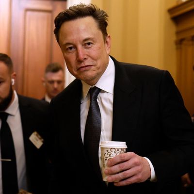 Morning Glory: The last temptation of a grant maker