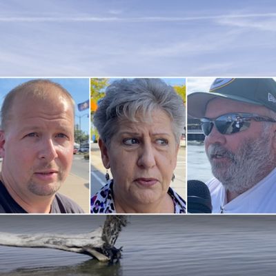 Harris voters in swing state admit Trump better for securing ‘horrible’ border: ‘Get that wall finished’
