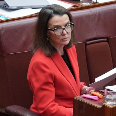 Net zero and nuclear should not be in Coalition agreement, according to Ruston