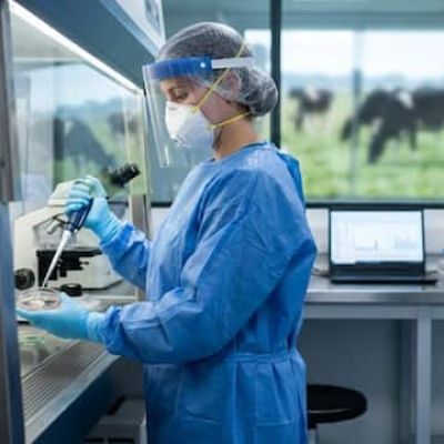 WHO Confirms First Human Case Of Animal-Linked Shamonda Virus In France; Patient Dies