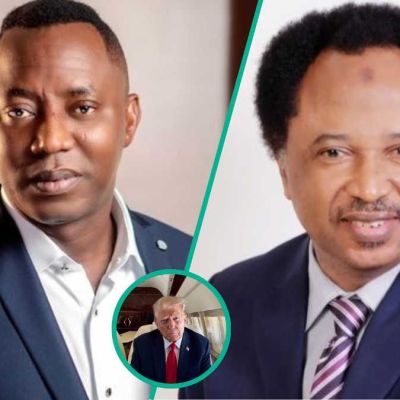 Shehu Sani, Sowore react to US air strike in Sokoto