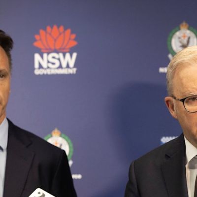 Coalition slams ‘failed’ gun buybacks as Albanese vows to push on