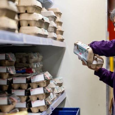 US egg producer defends record profits amid DOJ probe  —  how to manage high prices without poaching your budget