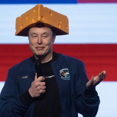 Elon Musk Wore a Cheesehead Hat, Spent More than $20 Million, And Still Got Whupped in Wisconsin