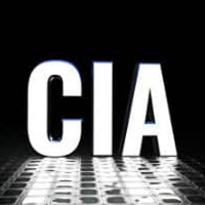 Anything to Make Certain Trump Didn’t Win, Even Treason