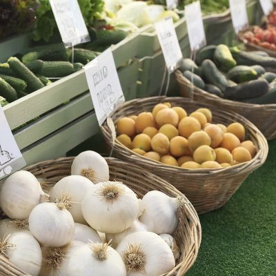 Winter Farmers’ Market to return to Farmers Hall following successful environmental remediation – Mountain Times