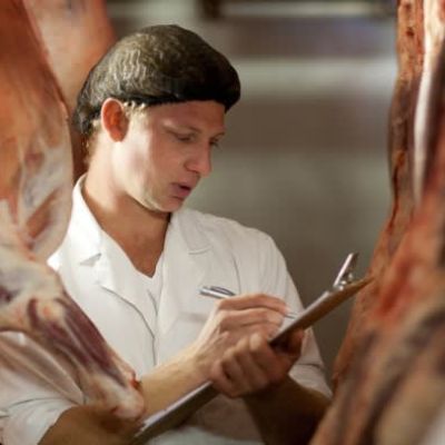 New Brexit border checks to cost business £320mn a year