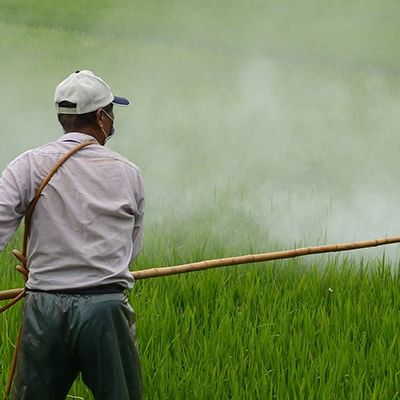 RBI raises FY26 GDP growth projection to 7.3 pc | Headlines