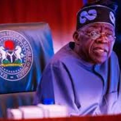 NEC remains cornerstone of fiscal federalism, economic governance – Tinubu