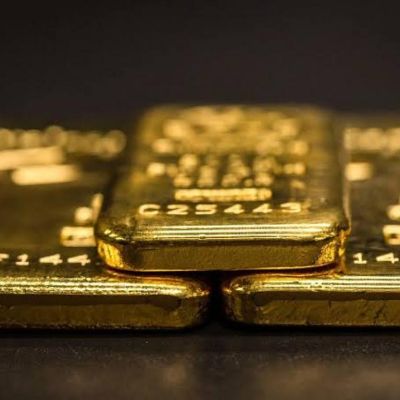 Ammonnews : Gold slips on rate-hike bets; inflation data in focus