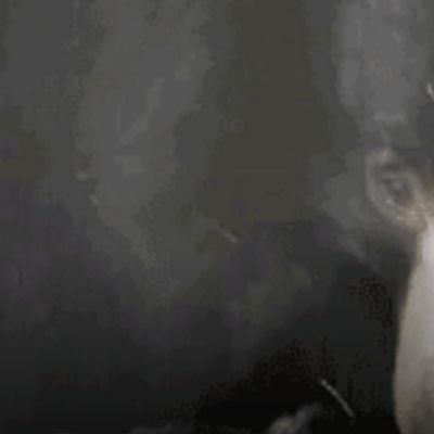 Just Like My Country: Young, Scrappy And Hungry. Tabs, Wed., Feb. 26, 2025