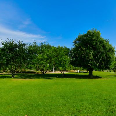 Qatar’s green spaces reach 21.9million sq m as sustainability drive gains momentum