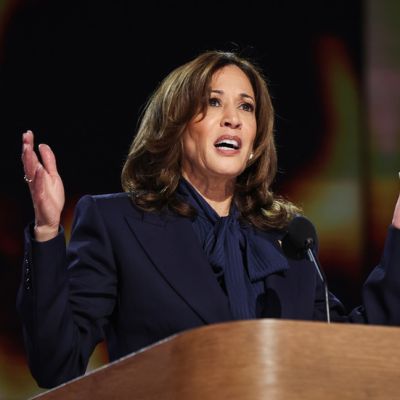 Election guru in US claims Harris will beat Trump — RT World News