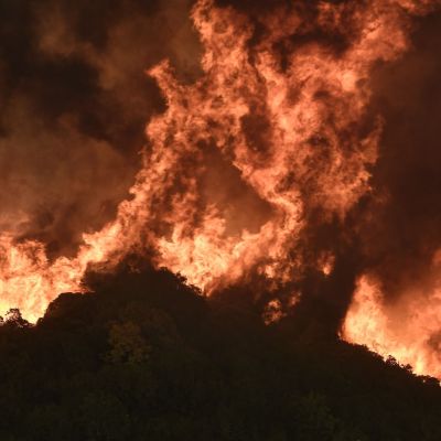 I tell my kids: If you see smoke coming from the forest, just go. Run.
