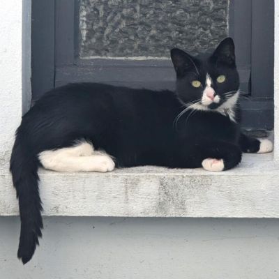 I just returned from six weeks in France