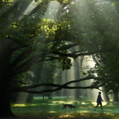 The new corporate green goal: being ‘nature positive’