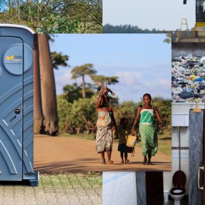 Over 90,000 stray dogs in Mumbai but only 8 shelters for them, say BMC officials | Law-Order