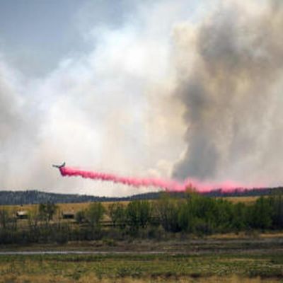 What is the pink stuff coating fire-ravaged Los Angeles?