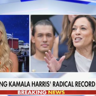 Fox’s Tomi Lahren Tells Trump Campaign to Cool It on Questioning Kamala Harris’s Blackness: ‘Stop Talking About What Her Race Is’