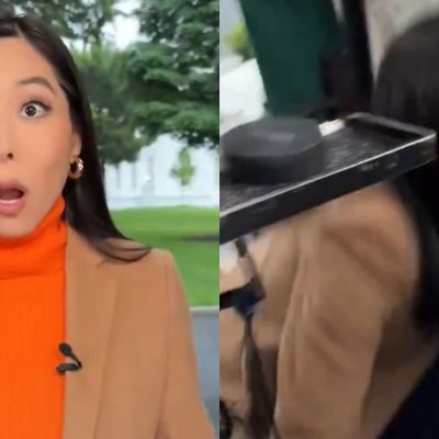 ABC News Reporter Dives For Cover As Gunfire Erupts At The White House – Building Under Lockdown With President Trump Inside After Around 30 Shots Are Heard [VIDEO]