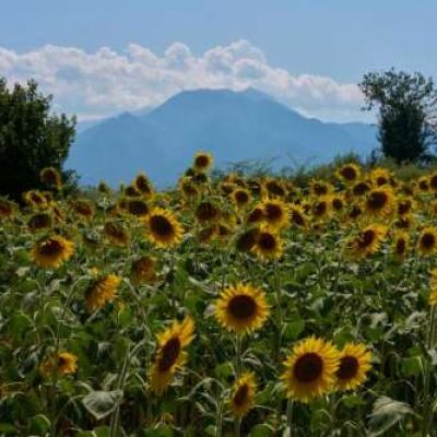 Mount Olympus, home of the ancient Greek gods, is a candidate for the UNESCO World Heritage List