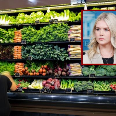 Leavitt slams Democrats as shutdown jeopardizes SNAP benefits for millions